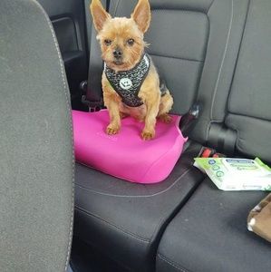 Meet your Posher, Norma